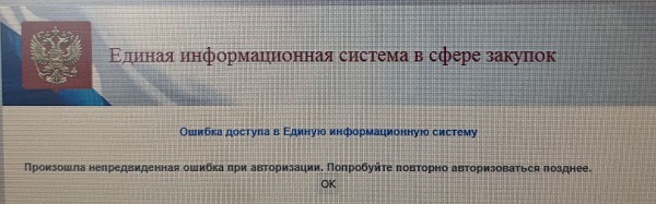 Ошибка доступа в ЕИС.jpg