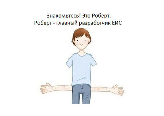 Главный разработчик ЕИС.jpg