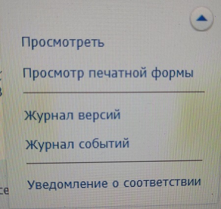 Вкладка меню при редактировании плана графика.jpg