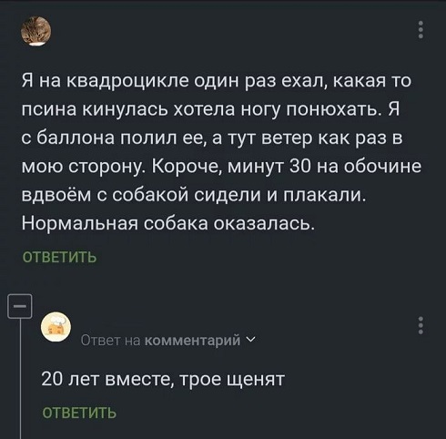 20 лет вместе.jpg