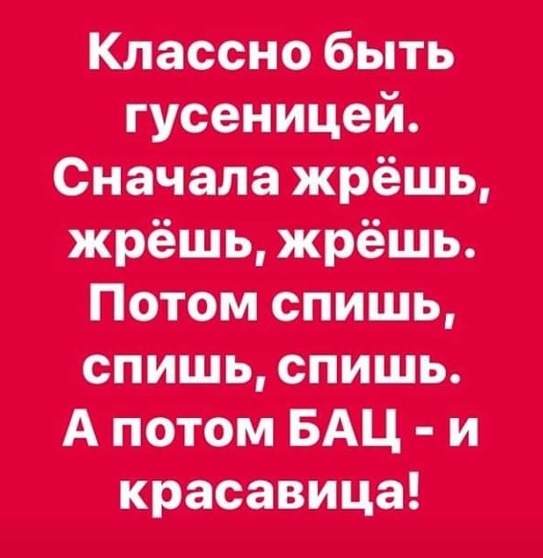 гусеница.jpg